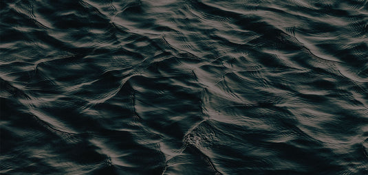 SCIV+ Saltwater Blanks