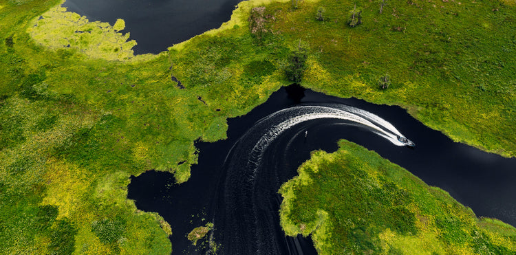 Geek Out: Explore All Our Blanks